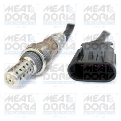 Oxygen Sensor